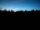03 : 46