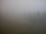 16 : 30