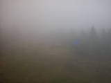 16 : 34