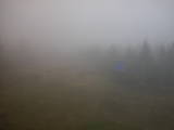 16 : 42