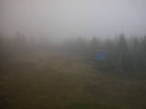 16 : 50