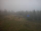 17 : 14