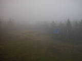 18 : 50
