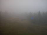 19 : 22