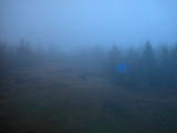 04 : 50