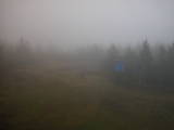 08 : 06