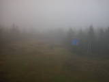 08 : 42