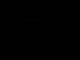03 : 06