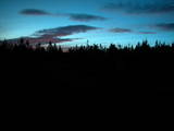 03 : 46