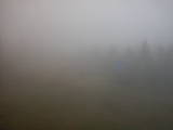 08 : 42