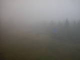 09 : 50