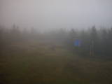 13 : 34