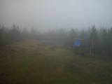 13 : 50