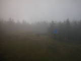 14 : 06
