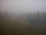 14 : 14