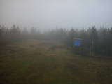 14 : 42