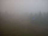 15 : 34