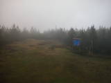 15 : 46