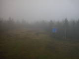 15 : 50