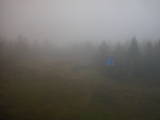 15 : 54