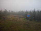 16 : 50