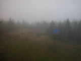 17 : 14