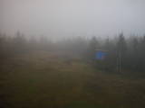 17 : 18