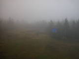 17 : 42