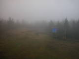 19 : 14