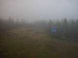 19 : 18
