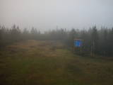 19 : 46