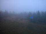 20 : 38