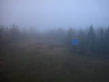 20 : 42