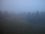20 : 50