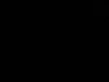 03 : 46