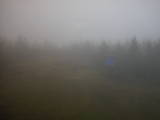 09 : 02