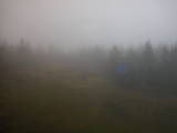 09 : 06