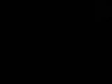 03 : 46