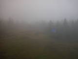 09 : 42