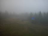 13 : 06
