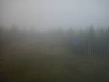 14 : 46