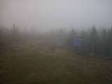 14 : 50