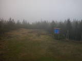 15 : 02