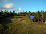 19 : 42