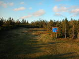 20 : 10