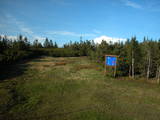 19 : 06