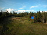 19 : 46