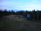20 : 50
