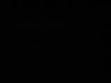 00 : 34
