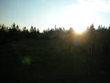 05 : 50